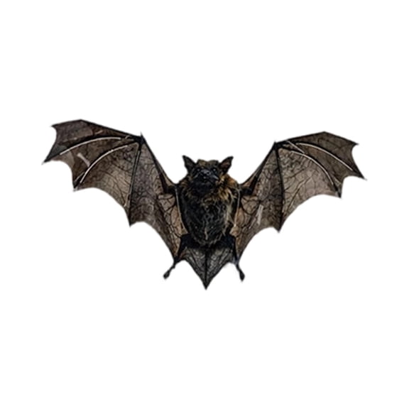 3D Bats Halloween Decorations Wall Decor Realistic Bat Stickers for Halloween Parties, Home Decor DIY Wall Decal for Indoor Bathroom, Living Room and Seasonal Displays