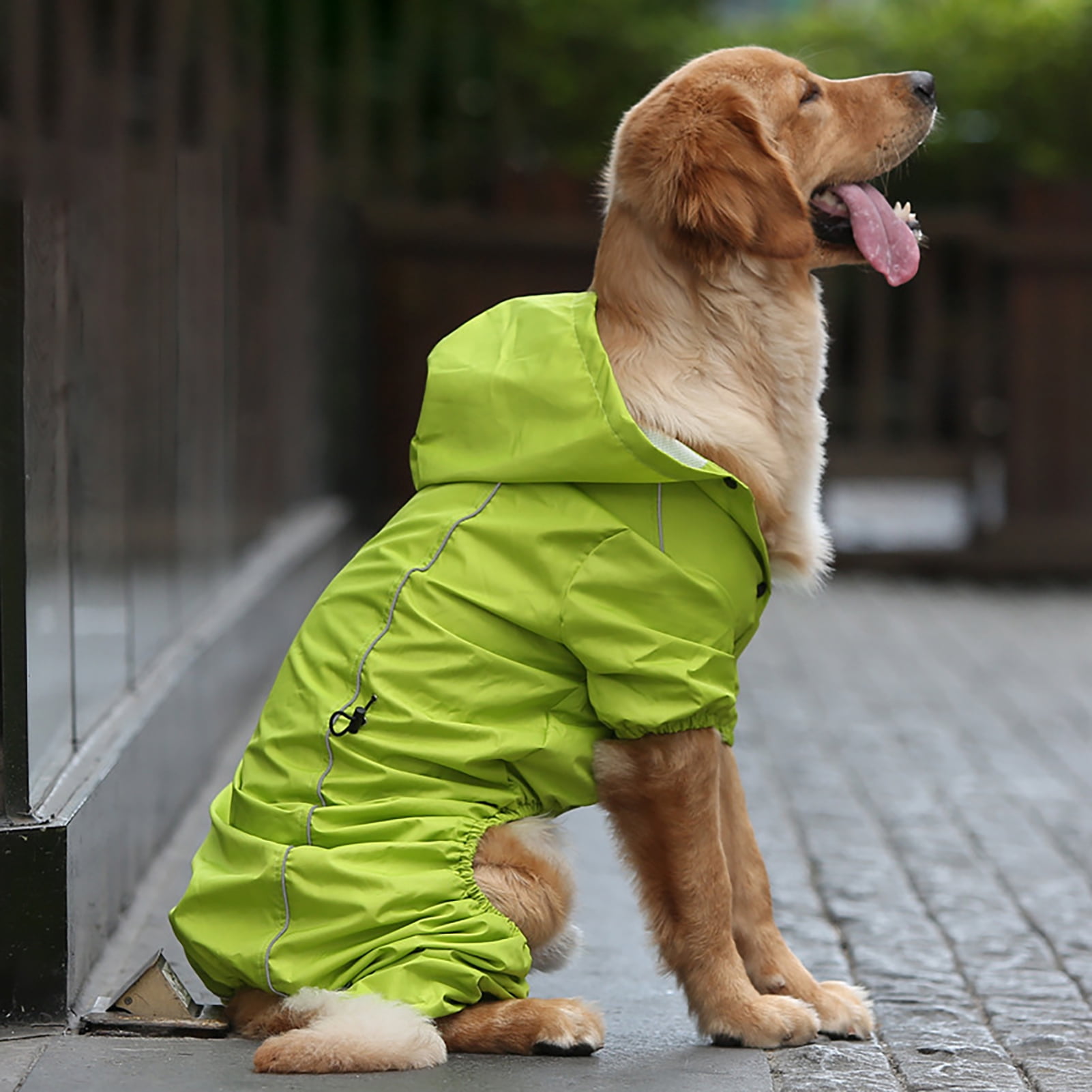 petbarn raincoat