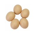 thumbnail image 1 of Artificial Fake Nest Eggs Home Garden Decoration, 1 of 5