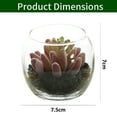 thumbnail image 2 of 3pcs artificial succulent glass potted plants creative small ornaments simulation plant bonsai - type:style2;, 2 of 5