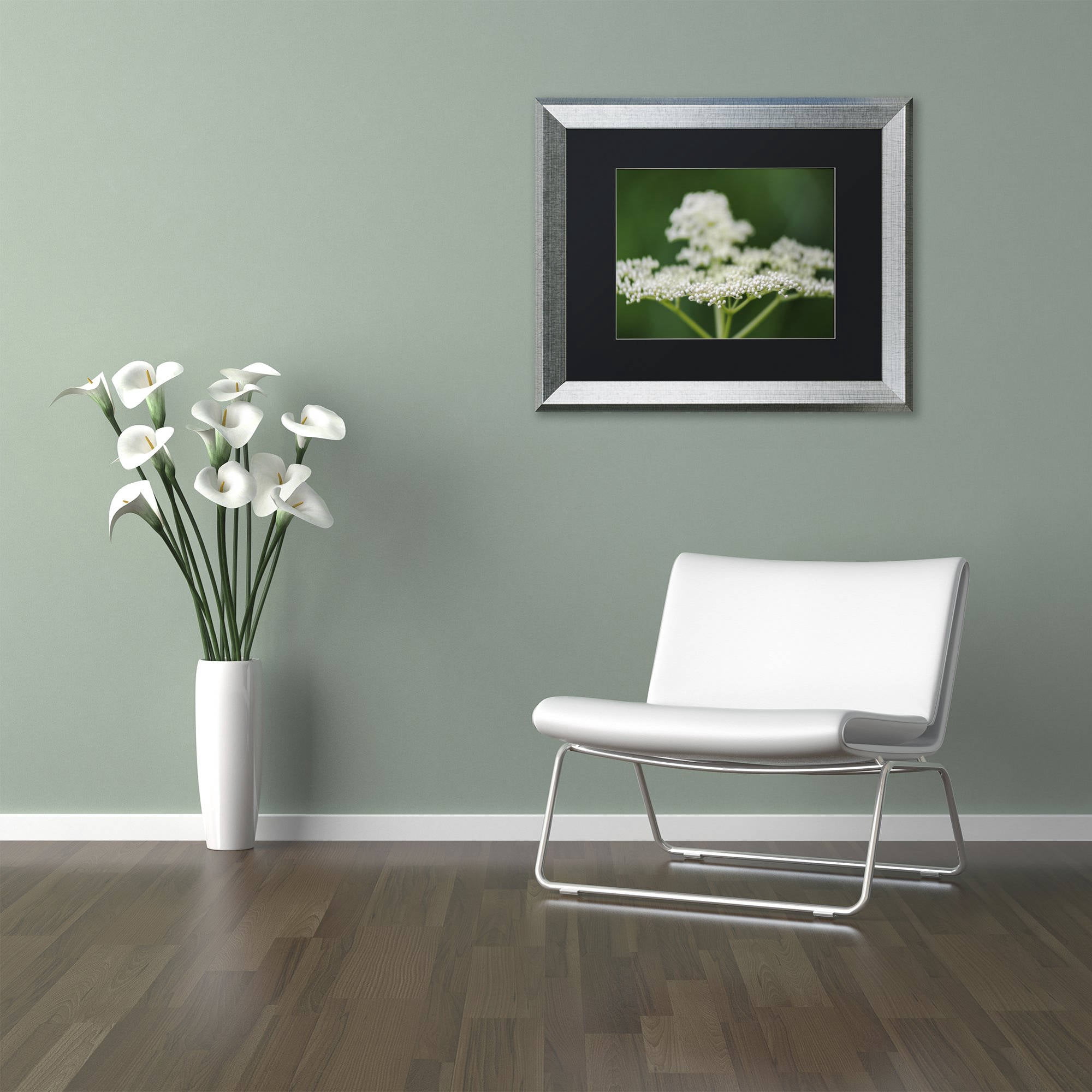 Trademark Fine Art "Nature is Amazing" Canvas Art by Kurt Shaffer, Black Matte, Silver Frame