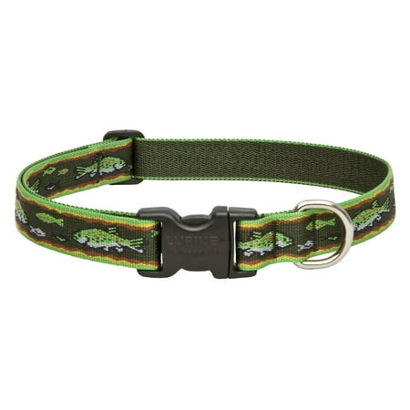 Lupine Collars; Leads Adjustable Trout Dog Collar
