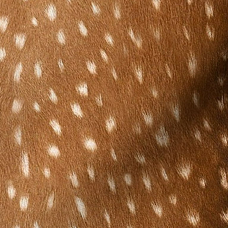 Deer Fur Pattern