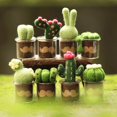 thumbnail image 2 of Full Range of Needle Felting Kit, Kissbuty Cactus Wool Felted Set for Adults and Beginners Including Wool Roving for 8 Succulents, Foam Mat, Glass Pots, Needles, Finger Guards Tools Kit, 2 of 5