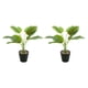 thumbnail image 4 of Planta en maceta Ounissouiy Hojas artificiales realistas JH5472 2Conjunto, 4 of 6