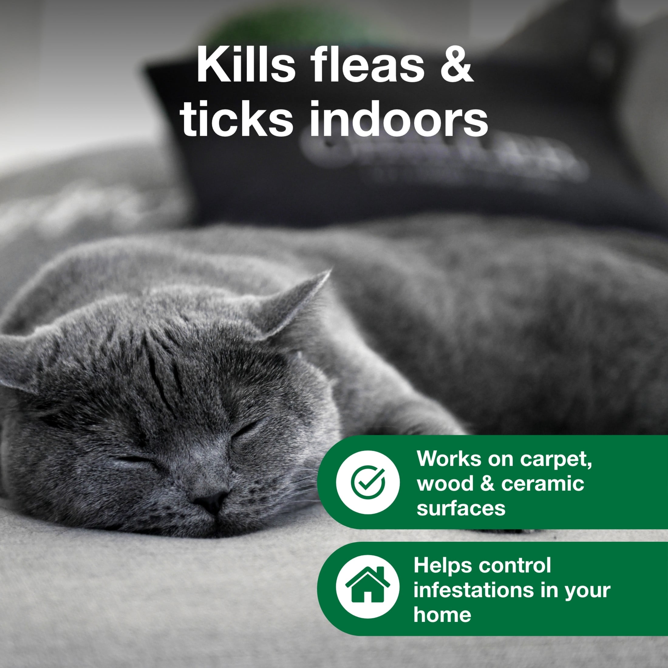 Advantage Carpet & Upholstery Spot Spray, Kills Fleas & Ticks & Bedbugs, 16 oz.