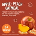thumbnail image 4 of (12 pack) Earth's Best Organic Stage 2 Baby Food, Apple Peach Oatmeal Fruit & Grain Puree, 3.5 oz Pouch, 4 of 13