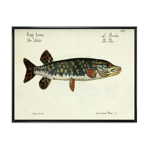 Portrait Of A Green Fish On Beige 20 in x 12 in Framed Painting Canvas Art Print, by Designart