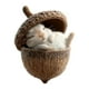 thumbnail image 1 of mfyjkho Adorno de bellota de animales del bosque, 8 cm, para árbol de Navidad con acabado de madera natural, decoración navideña para el hogar, 1 pieza, 1 of 6