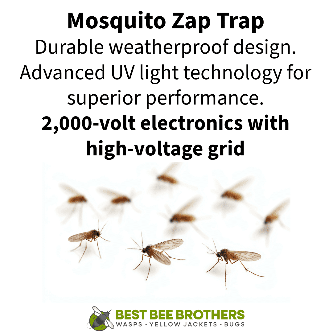Best Bee Brothers Outdoor 0.5 Acres Hanging Zapper Fly Trap with Small Brush, Black, 1 Count