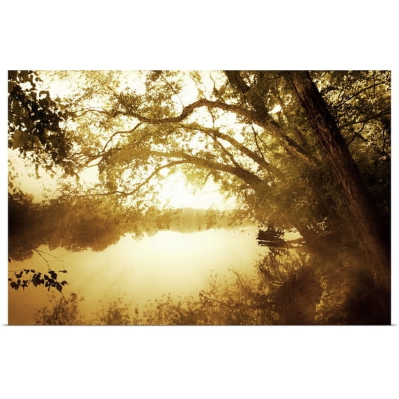 Great BIG Canvas | "River Oaks II" Art Print - 30x20