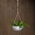 thumbnail image 2 of Root & Vessel Napa Hanging Bowl Planter, White, 12", 2 of 6