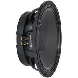 Peavey PVi 10 2-Way Speaker System