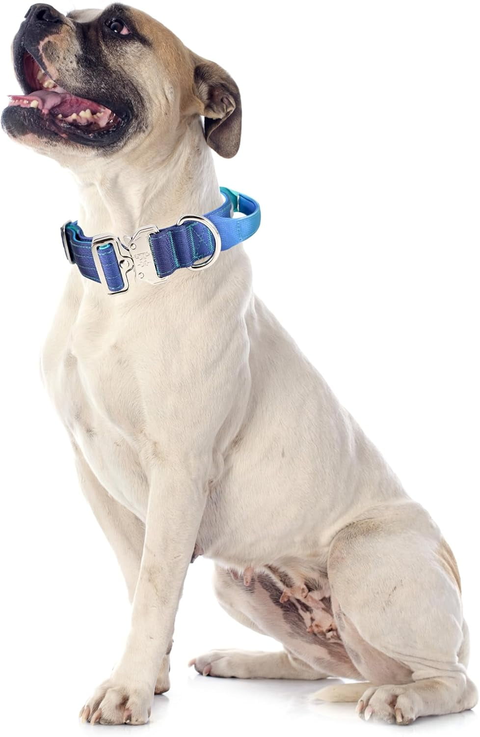 Comfort Control Tactical Triple Layer Dog Collar, Gradient Blue Green, M