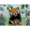thumbnail image 1 of Pintura de diamante (DE5980) 5D DIY Panda Resina Cuadrado Rhinestone Mosaico Arte 50x70cm Hugtrwg Para estrenar, 1 of 1