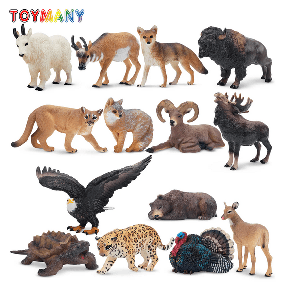 Toymany 14pcs Simulation Mini North American Animals Mod