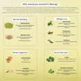 thumbnail image 5 of I AM LOVE It’s Moong Healthy Protein For Women & Men, Vegan Protein Powder With Moong & Brown Rice Isolate (Belgian Chocolate), 5 of 5