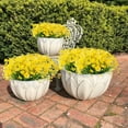 thumbnail image 3 of Morttic 4 Bundles Artificial Daisies Flowers, 4 Bundles Fake Mums Outdoor Plants with Fake Flowers, UV Resistant No Fade Plastic Faux Daisy Flower Plants Shrubs for Garden Home Decoration（Yellow）, 3 of 7