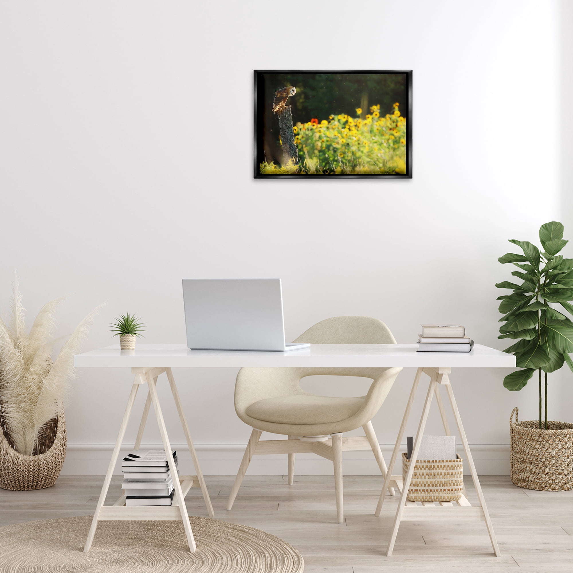 Stupell Industries Owl Perched in Meadow Landscape Photography Black Floater Framed Canvas Art Print Wall Art, 25 x 17