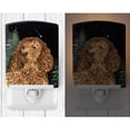 thumbnail image 2 of Caroline's Treasures SS8510CNL Water Spaniel Ceramic Night Light, 6x4x3", multicolor, 2 of 2