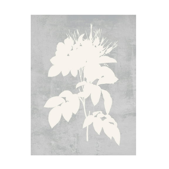 Trademark Fine Art Melissa Wang Falling Flowers I Canvas Wall Art