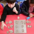 thumbnail image 1 of Rompecabezas de ciclo , enseñanza de ciencias, aprendizaje preescolar, desarrollo, juguete educativo temprano para ños en edad preescolar, Hugo Juguetes de rompecabezas, 1 of 10