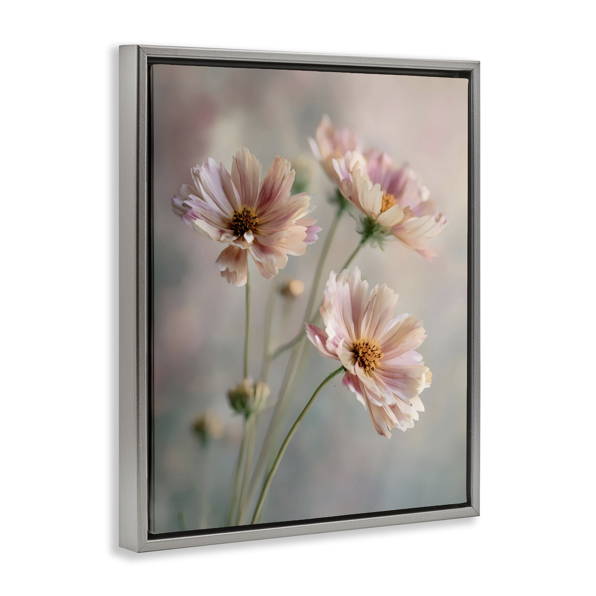 Stupell Industries Pink Daisies Close Up Gray Framed Floater Canvas Wall Art, design by Franklyn Gregory
