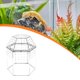 thumbnail image 1 of Terrario para reptiles, caja de cría pequeña, recinto para arañas saltarinas, accesorios transparentes, hábitat para ranas cornudas y lagartijas., 1 of 8