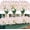 White, variant on Artificial Grasses 12 Bundles Outdoor UV Resistant Fake Grass No Fade Faux Plastic Plants Garden Window Box Decorating(Green Grass)