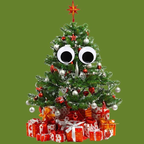 6 PCS Giant Googly Eyes Black White Googly Eyes Large Sticky Eyes