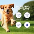 thumbnail image 6 of Liquid Glucosamine for Dogs- Chondroitin, MSM, Collagen- Joint, Mobility & Cartilage Support- 16 oz, 6 of 10