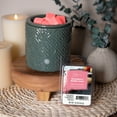 thumbnail image 2 of Mainstays 6 Cube Wax Melts, Strawberry Wafflecone, 1.25 oz, 2 of 5