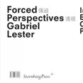 thumbnail image 1 of Gabriel Lester: Forced Perspectives, 1 of 2