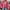 Hot Pink, variant on Aloohaidyvio Cardigans for Women Plus Size,Women's Open Front Cardigan Sweaters Fashion Button Down Cable Knit Chunky Outwear Coats