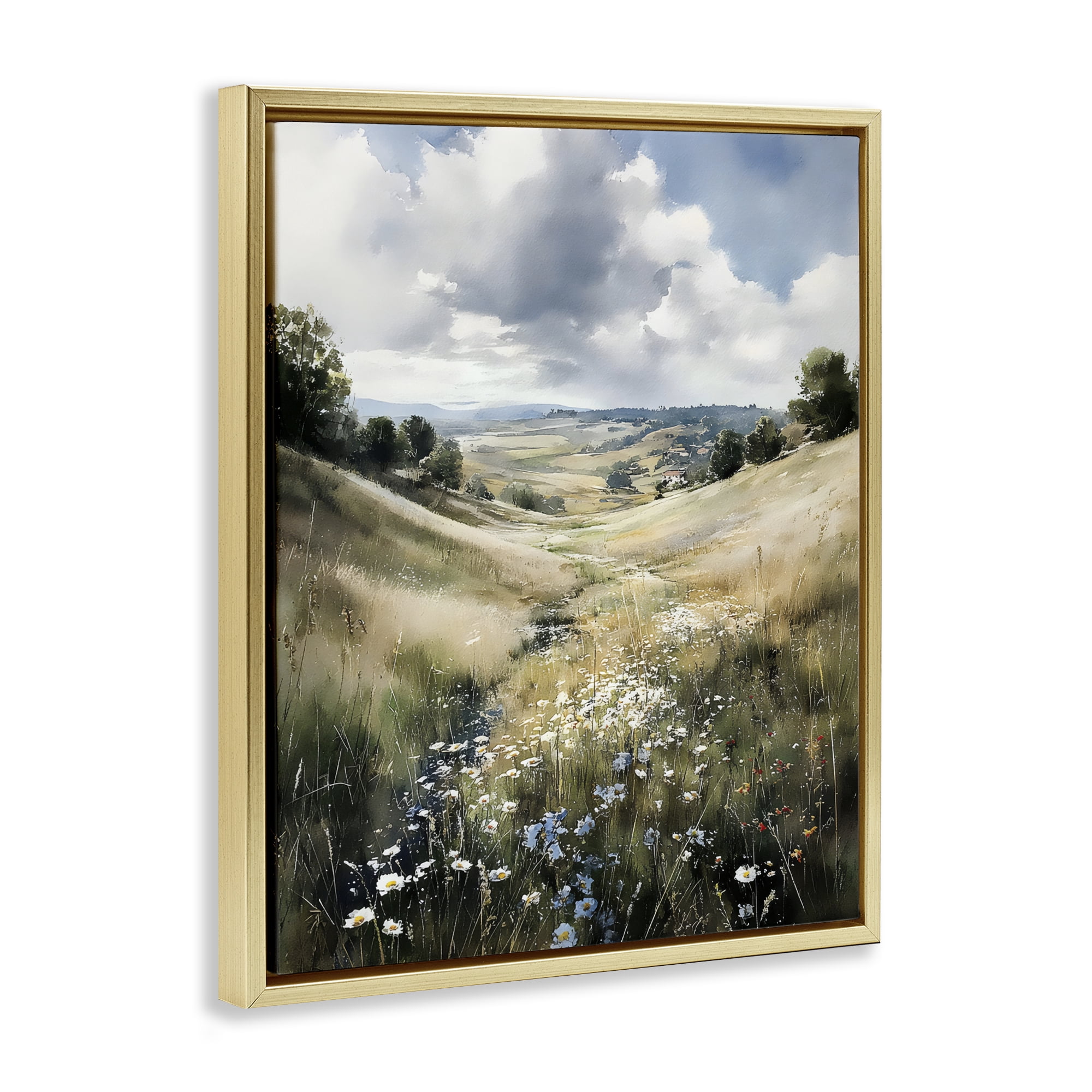 Stupell Industries Floral Valley of Wild Daisies Gold Framed Floater Canvas Wall Art, design by Franklyn Gregory