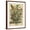 Brown Frame, variant on Art.com August Art Print by Robert Furber, 12" x 16"