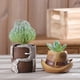 thumbnail image 4 of Wosthever Maceta de resina para flores, hierba bonita, jardín suculento, patio trasero, oficina, escritorio, estante de libros, contenedor decorativo, Jardín y Patio Sombrero Wosthever HA063326-01B, 4 of 6