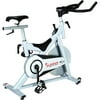 Sunny Magnetic Indoor Cycle Trainer