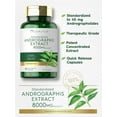 thumbnail image 4 of Andrographis Paniculata 8000 mg | 90 Capsules for Men and Women | by Carlyle, 4 of 8