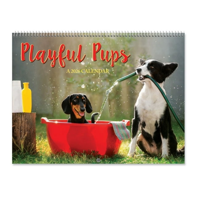 Current Calendrier Mural 2026 Playful Pups Dog 12 x 9 Pouces, Qualité Librairie, Reliure à Spirale