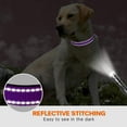 thumbnail image 5 of Collar reflectante para perros acolchado con neopreno suave y transpirable. Collares ajustables de nailon para perros pequeños, medianos y grandes. 36*53, 5 of 5