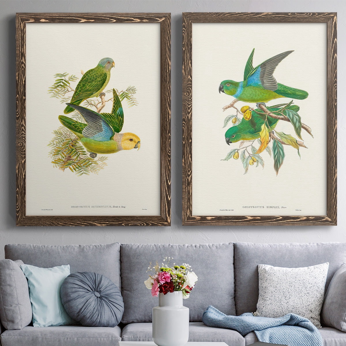 Lime & Cerulean Parrots I - Premium Framed Canvas 2 Piece Set - Ready to Hang