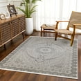 thumbnail image 2 of Grey Oriental Area Rugs for Living Room Washable Rugs Boho Moroccan Area Rug Soft Neutral Geometric Bohemian Carpet Distressed Indoor Rug for Bedroom Dining Room Office Foldable Nonslip Rug, 2 of 9