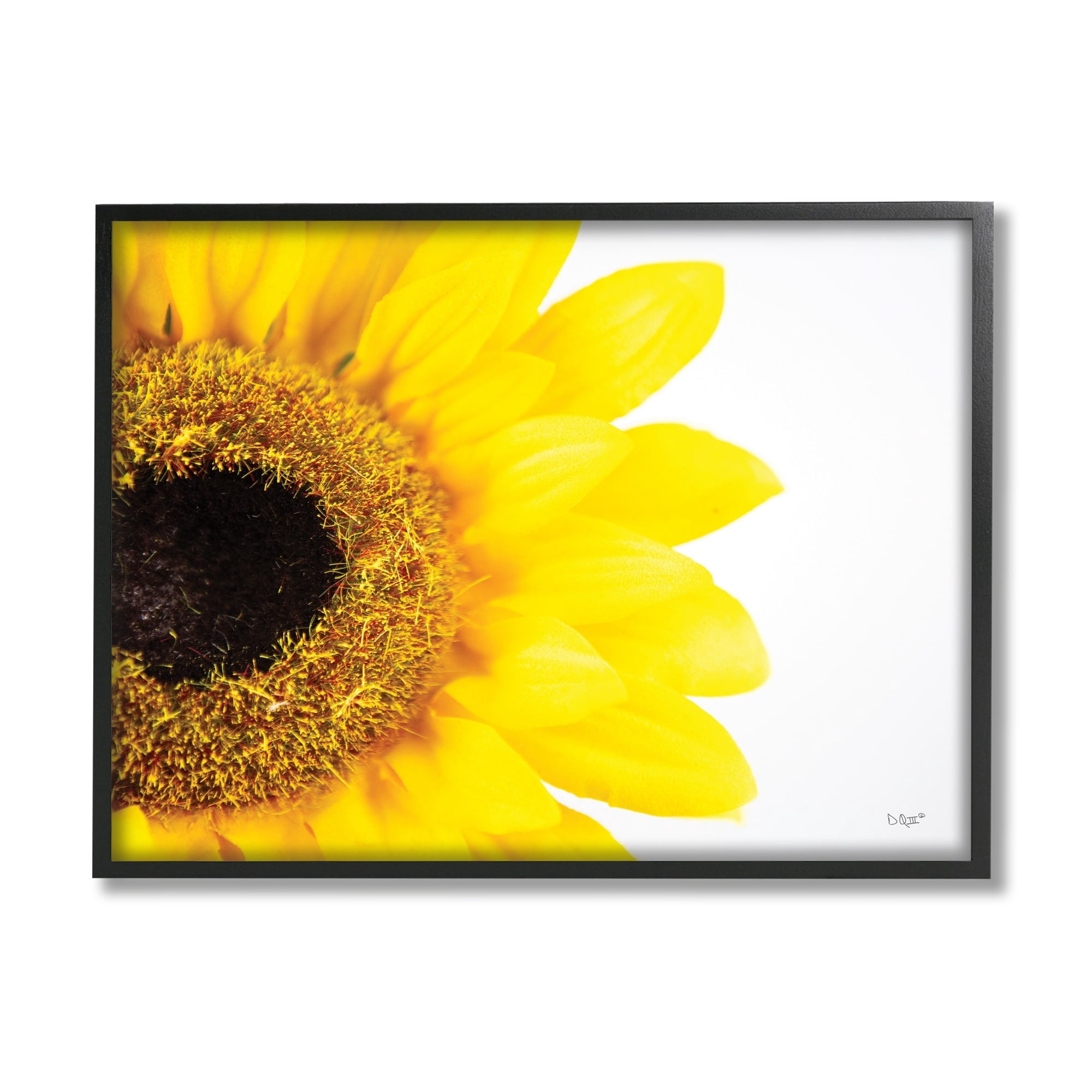 Stupell Industries Detail of Sunflower Disk And Petals Photograph,20 x 16, Design by Donnie Quillen