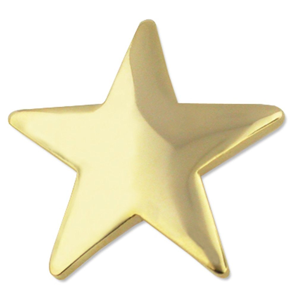 PinMart 10 Classic Shiny Gold Star Lapel Pin
