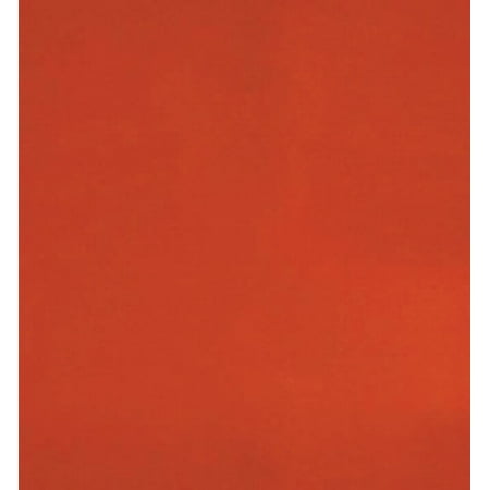 

Radnor 6 ft H X 6 ft W 14 mil Orange Flame-Retardent Transparent Vinyl Welding Curtain (6 Pack)