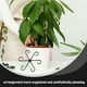thumbnail image 3 of TABLETREANDS 4Ud Plantas Clip Soporte De Tallo Para Jardín Accesorios Reutilizables Para Plantas Trepadoras, 3 of 8