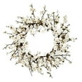 thumbnail image 1 of Nearly Natural 4191 24 Po Couronne de Fleurs de Prunier, 1 of 1