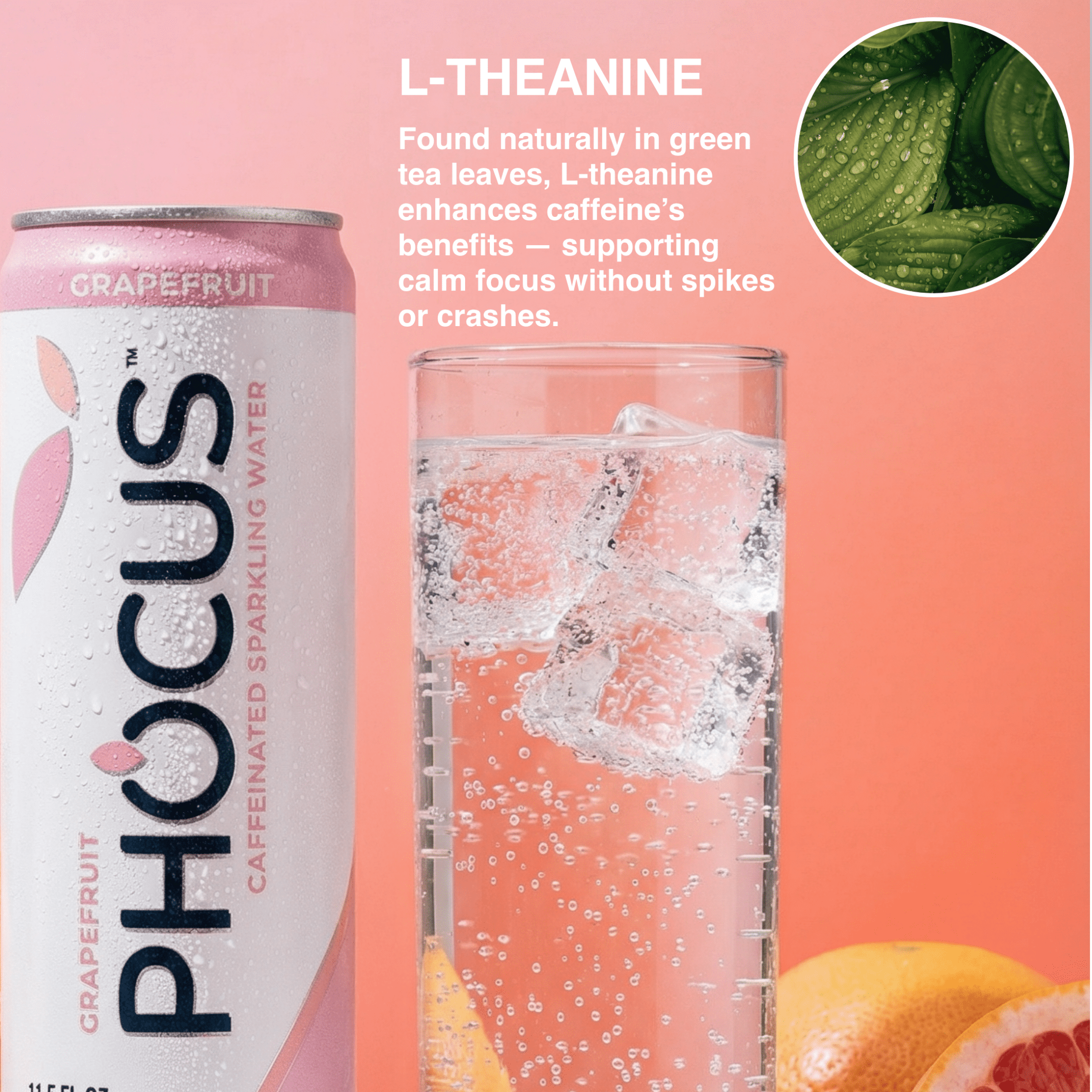 Phocus Caffeinated Sparkling Water Grapefruit
