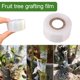 thumbnail image 3 of Grafting Tape, Stretchable Garden Tape Propagators for Plants Gardening Tools Plant Repair Budding Grafting Tapes,, 3 of 7